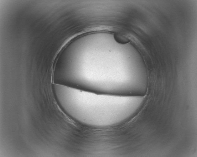 X0000067501228200604071015