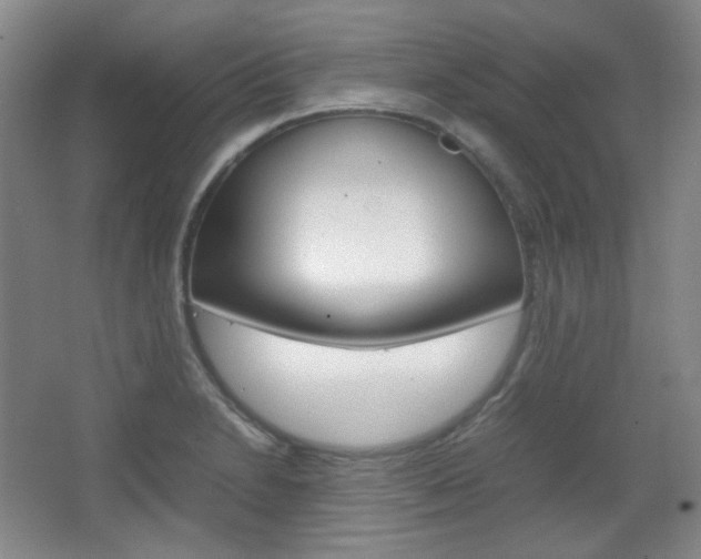 X0000067501230200604071015