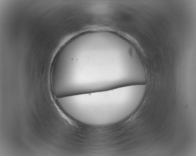 X0000067501231200604071015