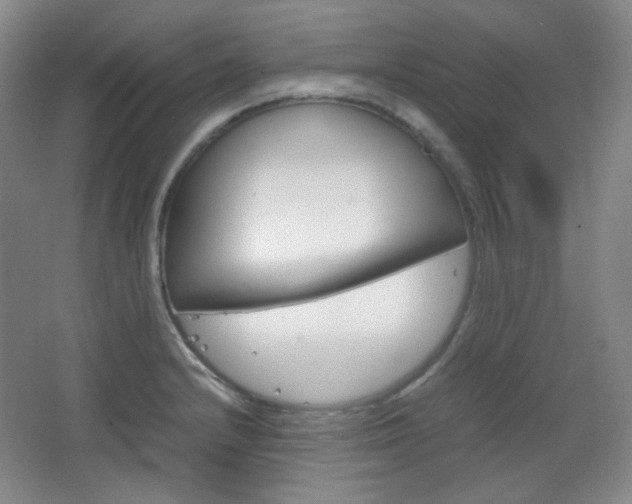 X0000067501232200604071015