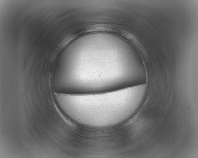 X0000067501233200604071015