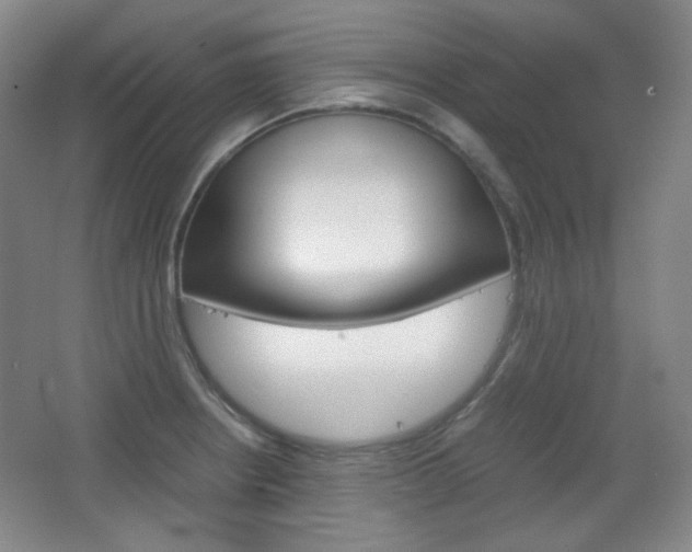 X0000067501234200604071015