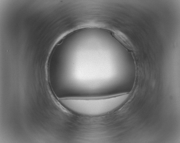 X0000067501238200604071015