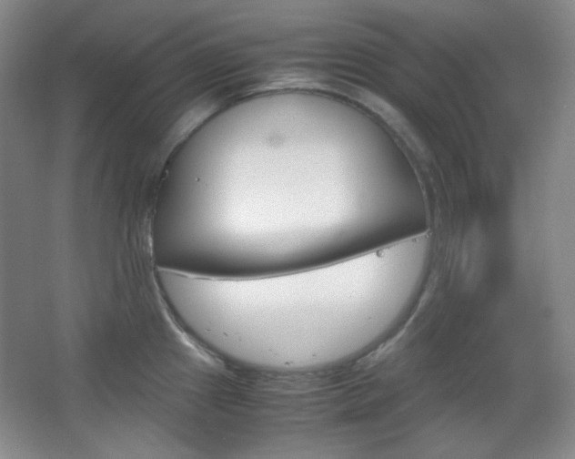 X0000067501241200604071015