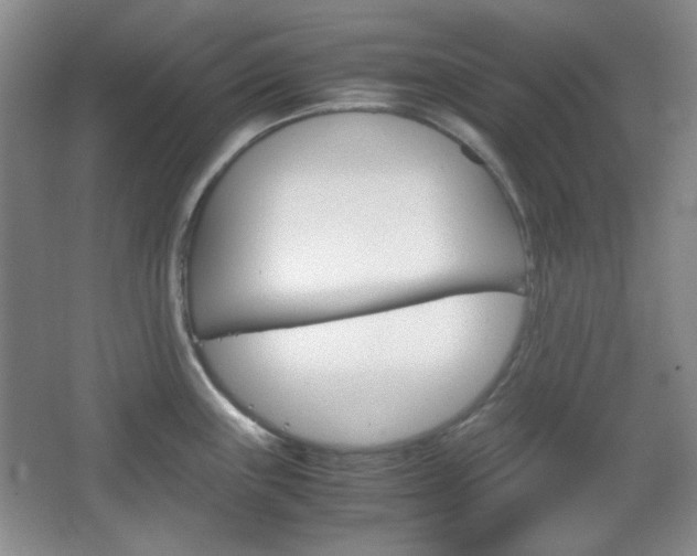 X0000067501243200604071015