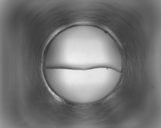X0000067501245200604071015