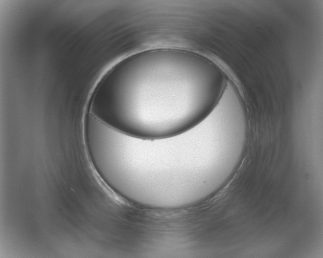 X0000067501246200604071015
