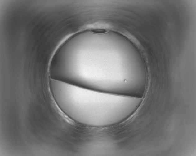 X0000067501248200604071015