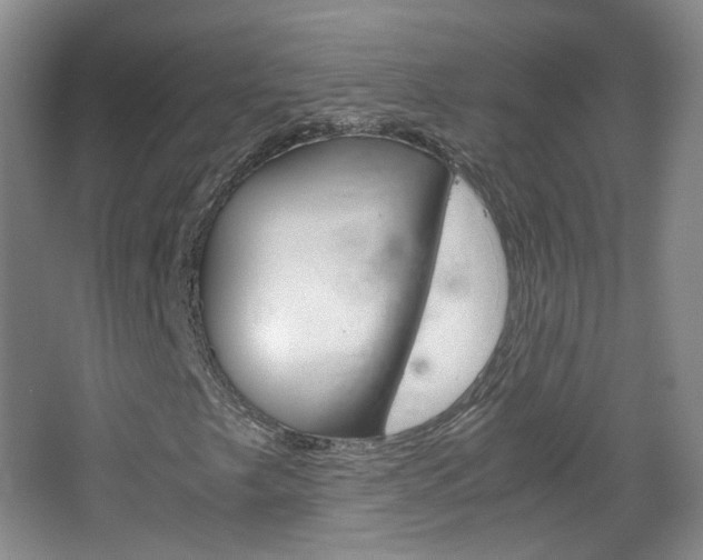 X0000067501249200604071014