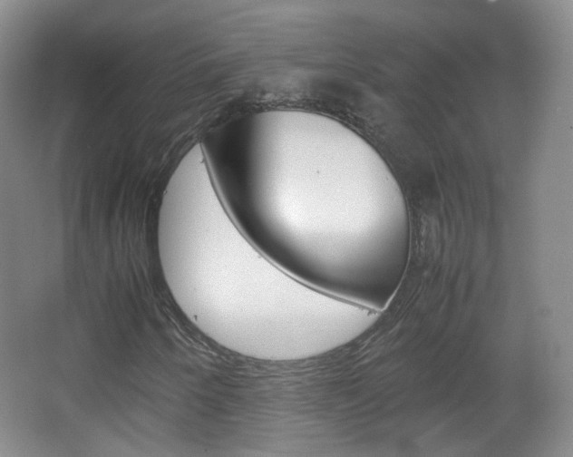 X0000067501250200604071014