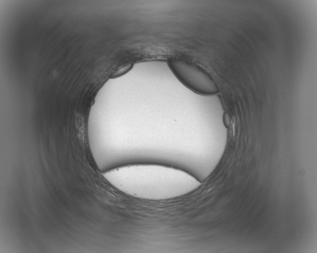 X0000067501251200604071014