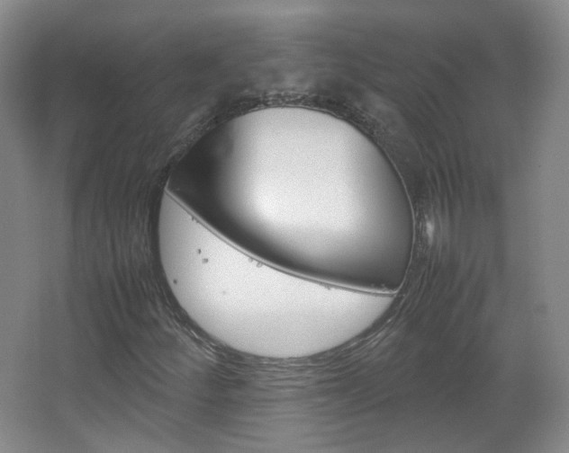 X0000067501252200604071014