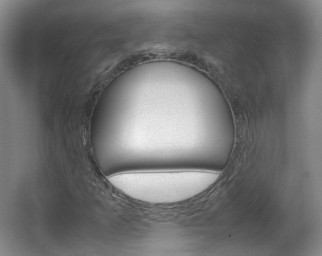 X0000067501253200604071014
