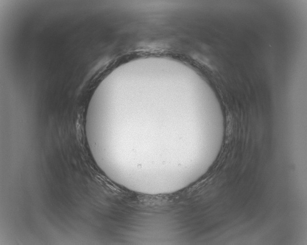 X0000067501254200604071014