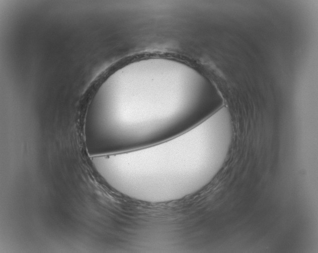 X0000067501256200604071014