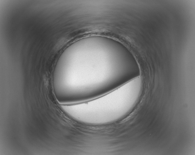 X0000067501257200604071014