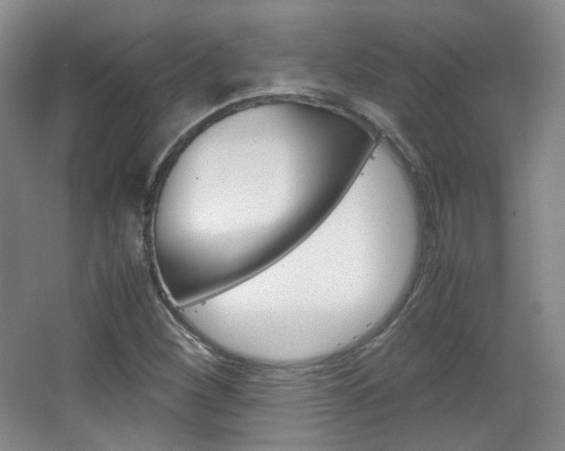 X0000067501260200604071014