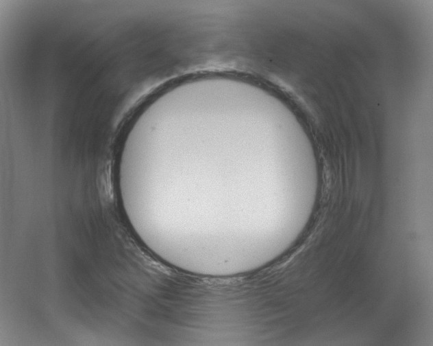 X0000067501262200604071014