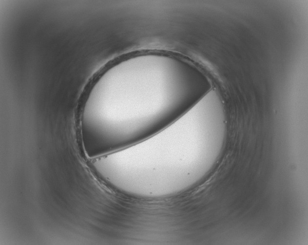 X0000067501264200604071014