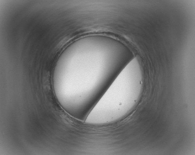 X0000067501265200604071014