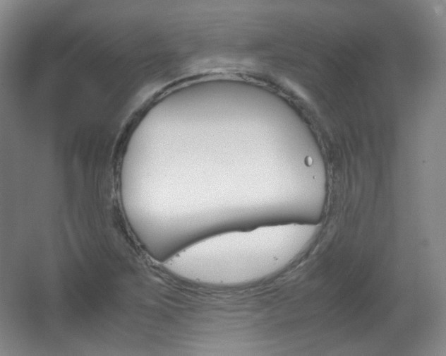 X0000067501267200604071014