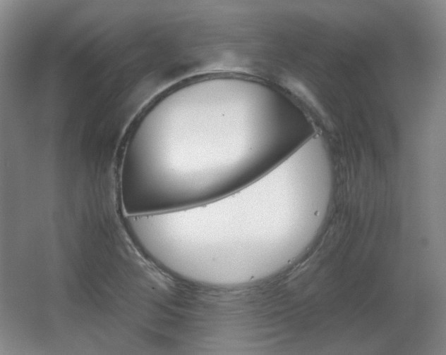 X0000067501268200604071014
