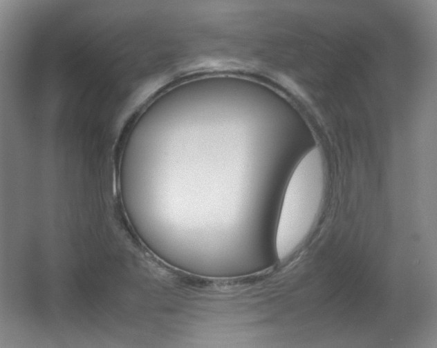 X0000067501269200604071014