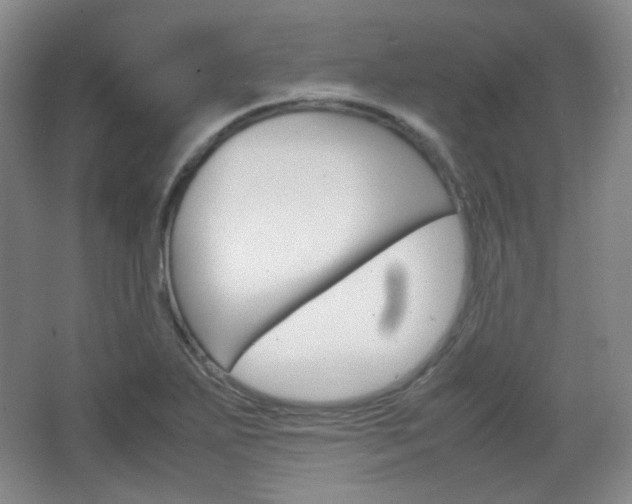 X0000067501271200604071014