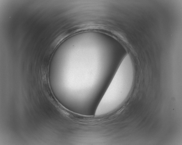 X0000067501273200604071014