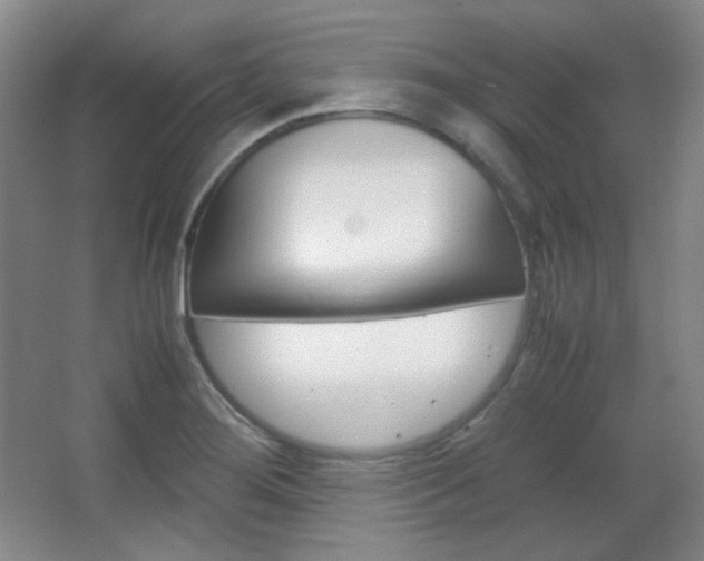X0000067501276200604071014