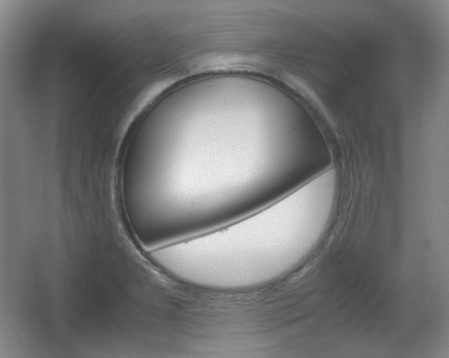 X0000067501277200604071014