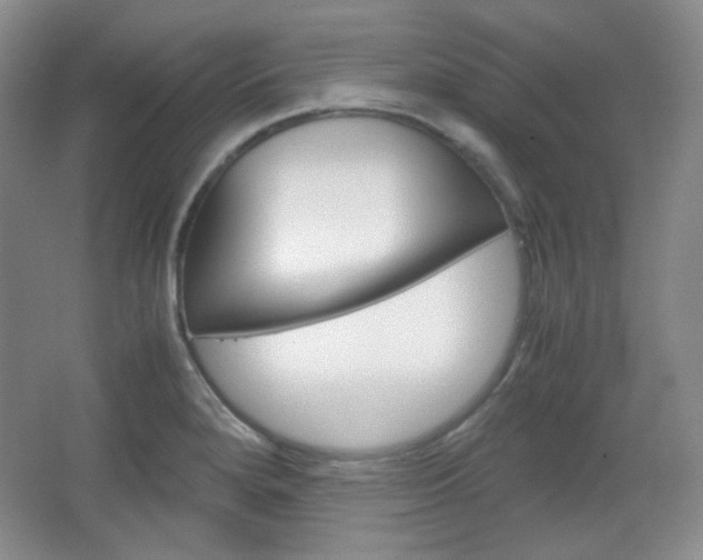 X0000067501280200604071014