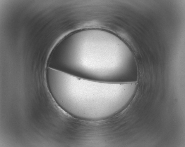 X0000067501288200604071013