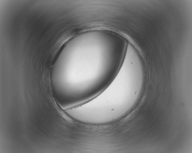 X0000067501289200604071013