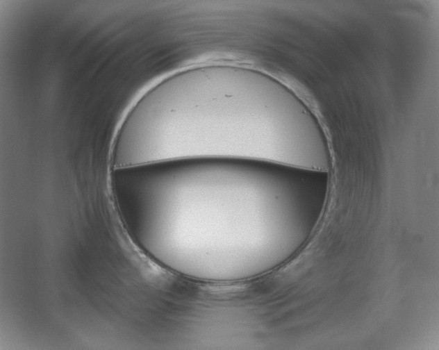 X0000067501296200604071013