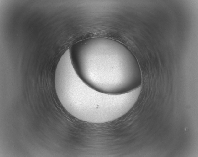 X0000067501298200604071012