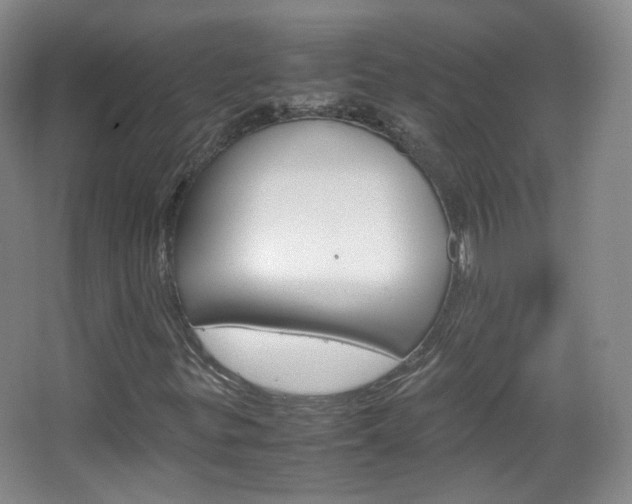 X0000067501299200604071012