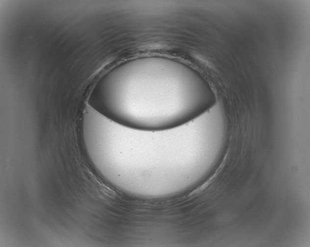 X0000067501305200604071013