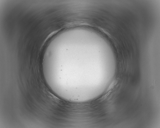 X0000067501306200604071013