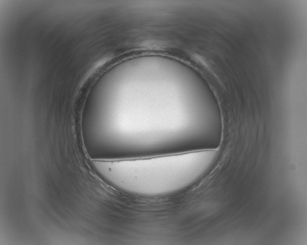 X0000067501307200604071013