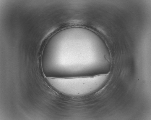 X0000067501309200604071013