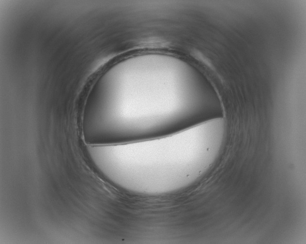 X0000067501315200604071013