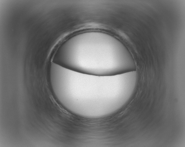 X0000067501318200604071013