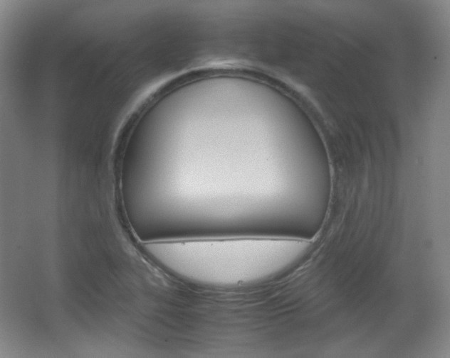 X0000067501319200604071013