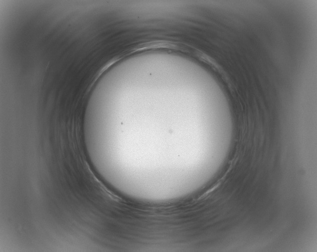 X0000067501321200604071013