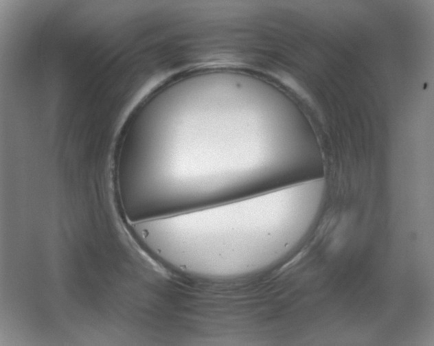 X0000067501325200604071013