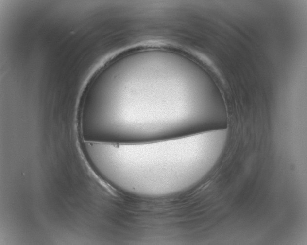 X0000067501327200604071013