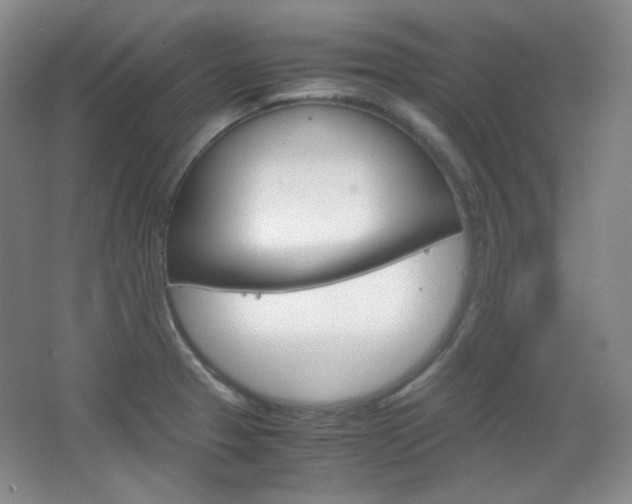 X0000067501329200604071013