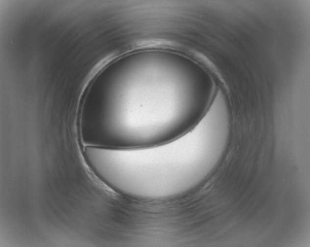 X0000067501330200604071013