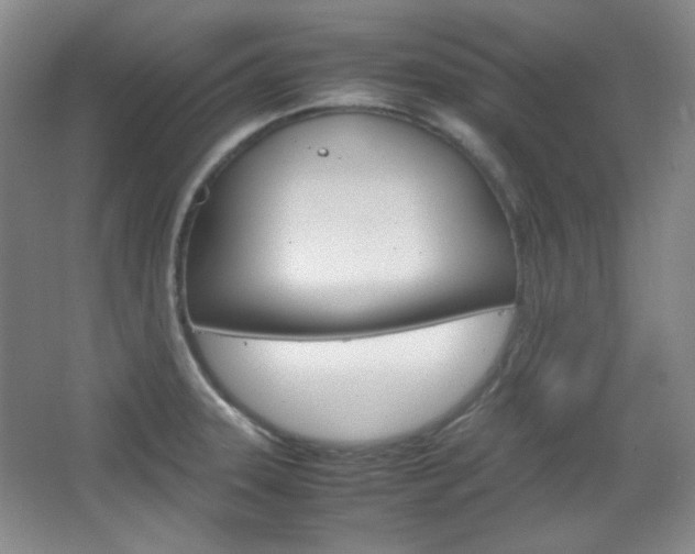 X0000067501331200604071013